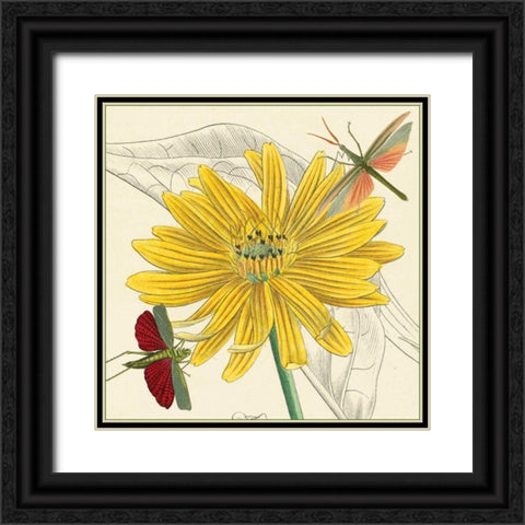 Indian Cup Black Ornate Wood Framed Art Print with Double Matting by van Houtte, Louis