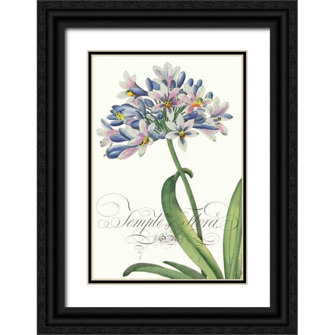 Modern Atelier I Black Ornate Wood Framed Art Print with Double Matting by Chilton, Sarah E