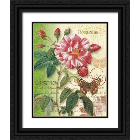 Rose Splendor I Black Ornate Wood Framed Art Print with Double Matting by Han, Ching
