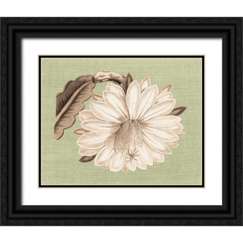 Regence Lily II Black Ornate Wood Framed Art Print with Double Matting by Chilton, Sarah E
