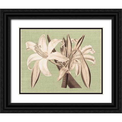 Regence Lily IV Black Ornate Wood Framed Art Print with Double Matting by Chilton, Sarah E