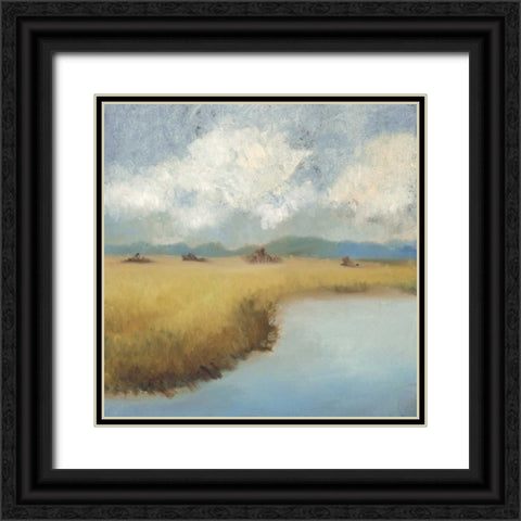 Sea Island Lowcountry Black Ornate Wood Framed Art Print with Double Matting by Rogers, Adam