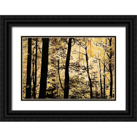 Golden Wood Black Ornate Wood Framed Art Print with Double Matting by Nicole, Lily
