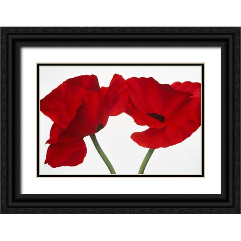 Poppy red Black Ornate Wood Framed Art Print with Double Matting by Poelstra-Holzhaus, Yvonne