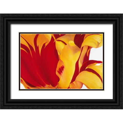 Floriade I Black Ornate Wood Framed Art Print with Double Matting by Poelstra-Holzhaus, Yvonne