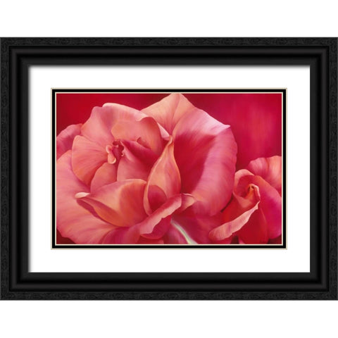 Pink Rose I Black Ornate Wood Framed Art Print with Double Matting by Poelstra-Holzhaus, Yvonne