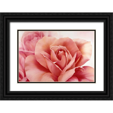Pink Rose II Black Ornate Wood Framed Art Print with Double Matting by Poelstra-Holzhaus, Yvonne