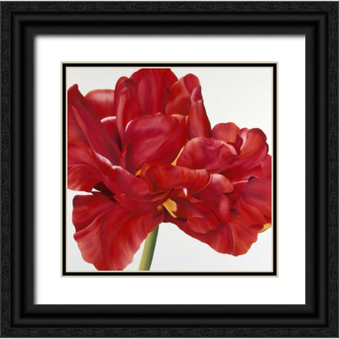 Colourful Floral II Black Ornate Wood Framed Art Print with Double Matting by Poelstra-Holzhaus, Yvonne