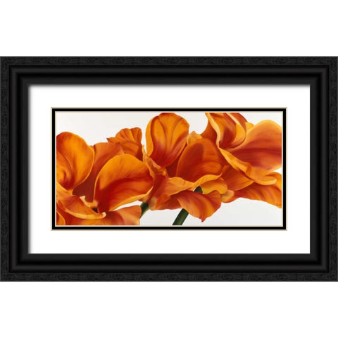 Fancy Flower II Black Ornate Wood Framed Art Print with Double Matting by Poelstra-Holzhaus, Yvonne