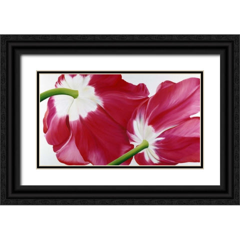 Tulipa Black Ornate Wood Framed Art Print with Double Matting by Poelstra-Holzhaus, Yvonne