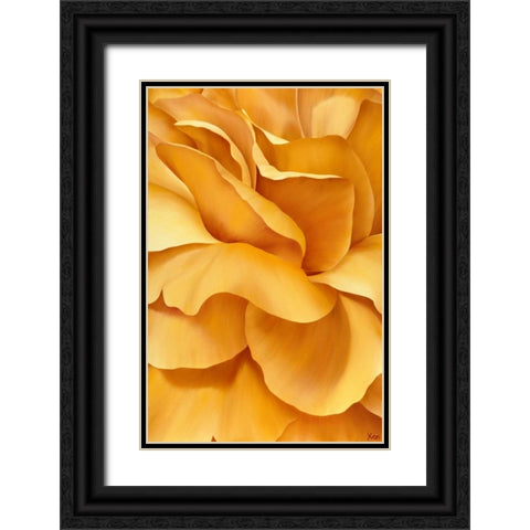 Magnificant Flower I Black Ornate Wood Framed Art Print with Double Matting by Poelstra-Holzhaus, Yvonne
