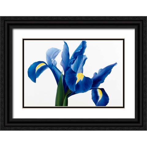 Purple floral II Black Ornate Wood Framed Art Print with Double Matting by Poelstra-Holzhaus, Yvonne