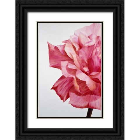 Pink Twin I Black Ornate Wood Framed Art Print with Double Matting by Poelstra-Holzhaus, Yvonne
