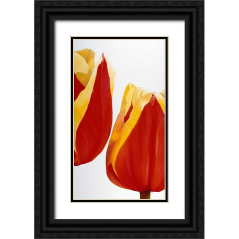 Stay there! Black Ornate Wood Framed Art Print with Double Matting by Poelstra-Holzhaus, Yvonne