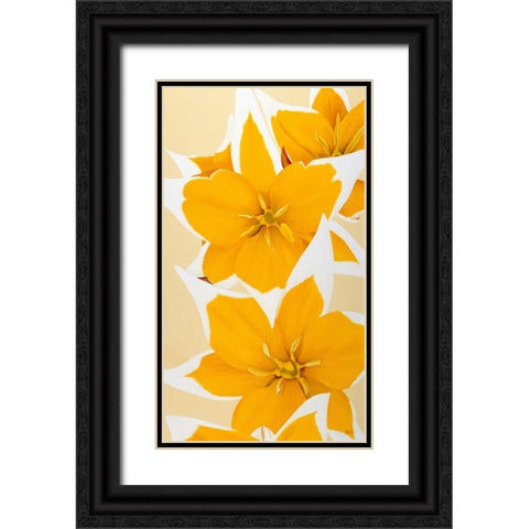 Yellow missy Black Ornate Wood Framed Art Print with Double Matting by Poelstra-Holzhaus, Yvonne