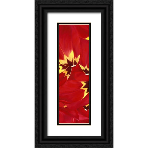 Red and Close to you Black Ornate Wood Framed Art Print with Double Matting by Poelstra-Holzhaus, Yvonne