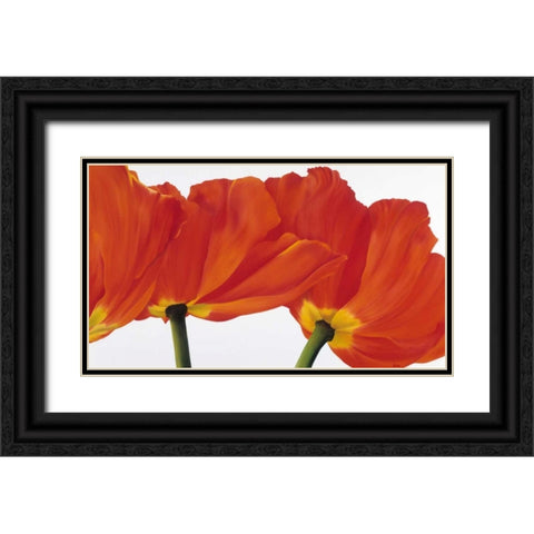 Spring dance Black Ornate Wood Framed Art Print with Double Matting by Poelstra-Holzhaus, Yvonne