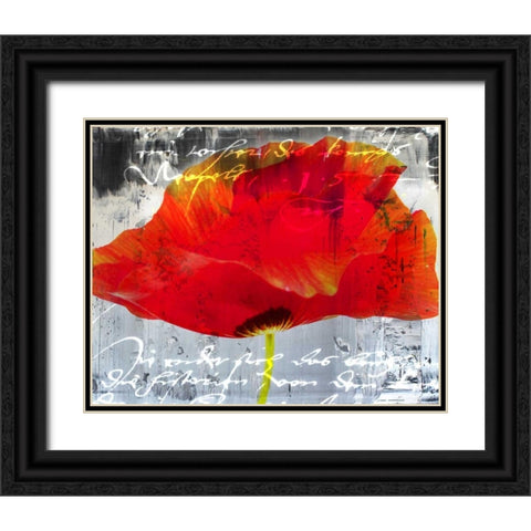 Poppy Story II Black Ornate Wood Framed Art Print with Double Matting by Baker, Micha