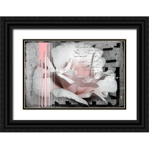 Pink Rose Black Ornate Wood Framed Art Print with Double Matting by Baker, Micha