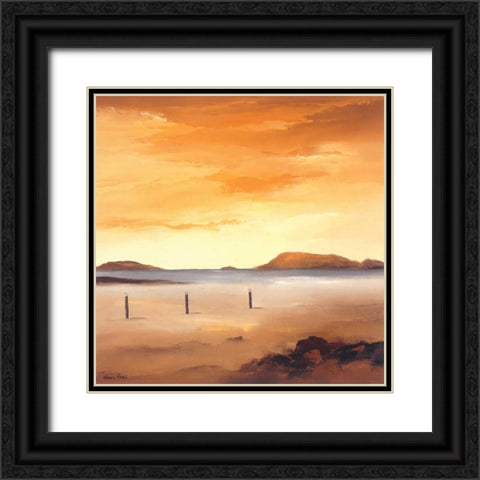 Quiet Sands I Black Ornate Wood Framed Art Print with Double Matting by Paus, Hans