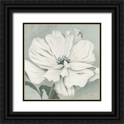 White poppy Black Ornate Wood Framed Art Print with Double Matting by Heigl, Franz