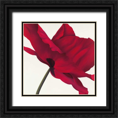 Papaver I Black Ornate Wood Framed Art Print with Double Matting by Poelstra-Holzhaus, Yvonne