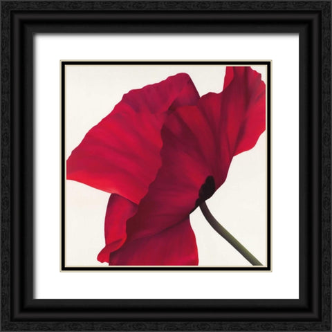 Papaver II Black Ornate Wood Framed Art Print with Double Matting by Poelstra-Holzhaus, Yvonne