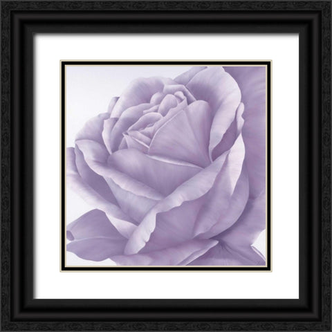 Magnificence II Black Ornate Wood Framed Art Print with Double Matting by Poelstra-Holzhaus, Yvonne