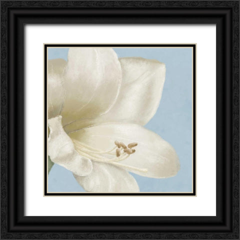 White amaryllis I Black Ornate Wood Framed Art Print with Double Matting by Linda, Wood