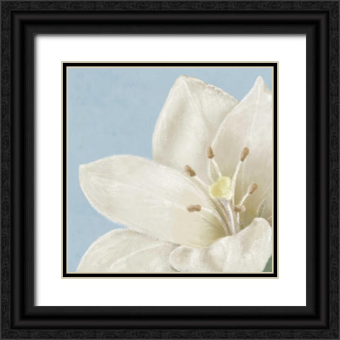 White amaryllis II Black Ornate Wood Framed Art Print with Double Matting by Linda, Wood