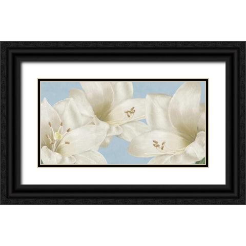 White Amaryllis III Black Ornate Wood Framed Art Print with Double Matting by Linda, Wood