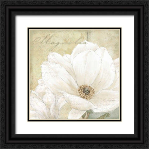 Aqua Magnolia I Black Ornate Wood Framed Art Print with Double Matting by Linda, Wood