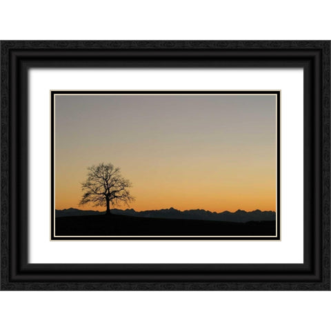 Abenddammerung II Black Ornate Wood Framed Art Print with Double Matting by Rossmeissl, Gerhard