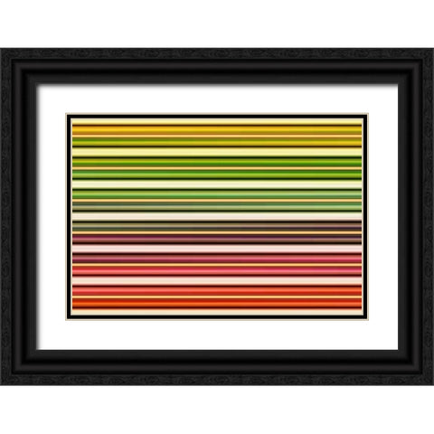 Color Lines I Black Ornate Wood Framed Art Print with Double Matting by Rossmeissl, Gerhard