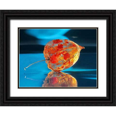 Ballonblume Black Ornate Wood Framed Art Print with Double Matting by Weissing, Gerd