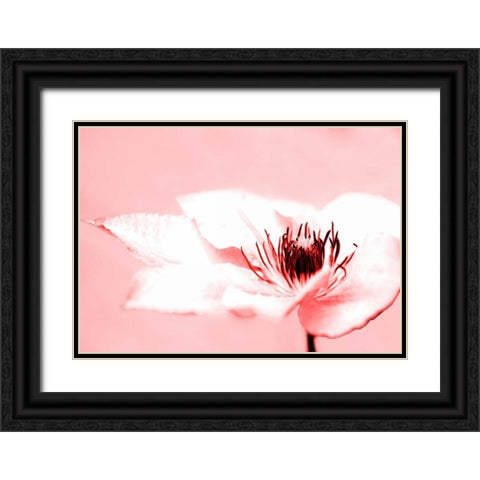 Beauty Black Ornate Wood Framed Art Print with Double Matting by Riedt, Kirsten