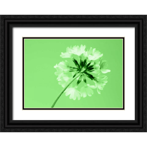 Frizzy Black Ornate Wood Framed Art Print with Double Matting by Riedt, Kirsten