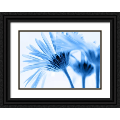 Romance in blue Black Ornate Wood Framed Art Print with Double Matting by Riedt, Kirsten