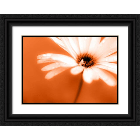 Leaned Black Ornate Wood Framed Art Print with Double Matting by Riedt, Kirsten