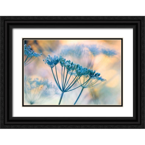 Summer dreams II Black Ornate Wood Framed Art Print with Double Matting by Riedt, Kirsten