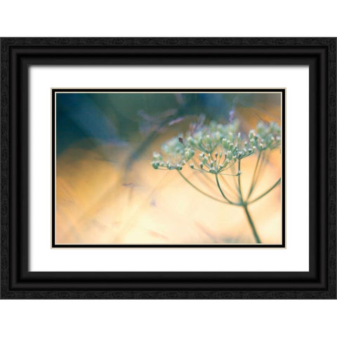 Summer dreams I Black Ornate Wood Framed Art Print with Double Matting by Riedt, Kirsten