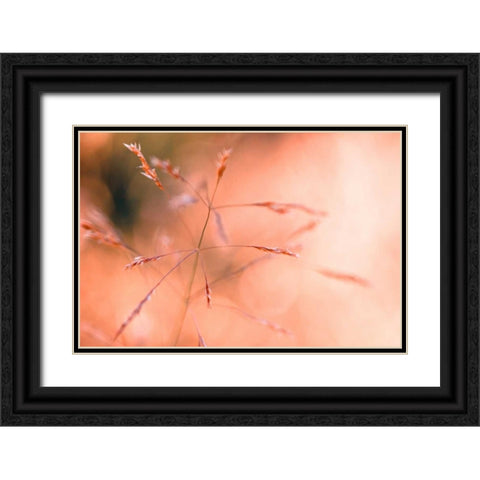 Wild summer I Black Ornate Wood Framed Art Print with Double Matting by Riedt, Kirsten