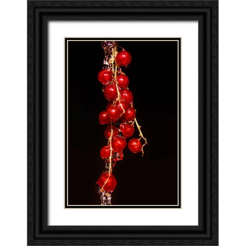 Johannisbeere Black Ornate Wood Framed Art Print with Double Matting by Riedt, Kirsten