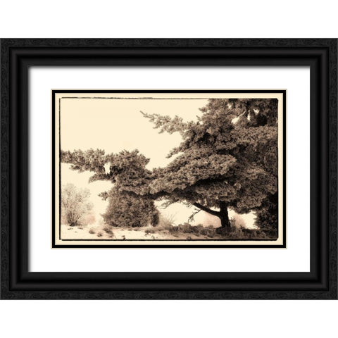 Hoar Frost Montana Black Ornate Wood Framed Art Print with Double Matting by Stalowy, John