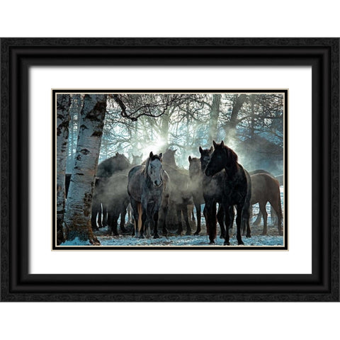 Horses in the Mist Black Ornate Wood Framed Art Print with Double Matting by Stalowy, John