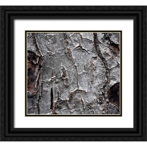Tree Bark Black Ornate Wood Framed Art Print with Double Matting by Stalowy, John