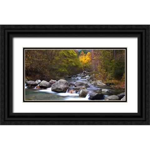 Forest and river 802 Black Ornate Wood Framed Art Print with Double Matting by Palacios, J.A.
