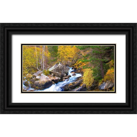 Forest and river 803 Black Ornate Wood Framed Art Print with Double Matting by Palacios, J.A.