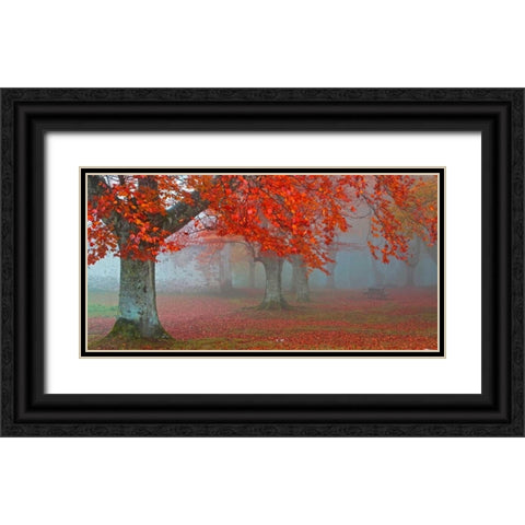 Red forest 804 Black Ornate Wood Framed Art Print with Double Matting by Palacios, J.A.