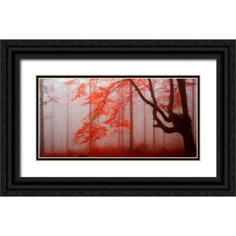 Red forest 807 Black Ornate Wood Framed Art Print with Double Matting by Palacios, J.A.